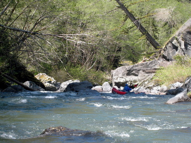 Redwood Creek near Orick CA