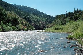Rogue River near Grants Pass OR