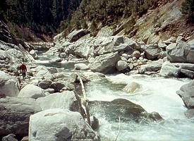 Rubicon River near Foresthill CA