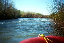 Russian River below Asti CA