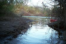 Russian River below Asti CA