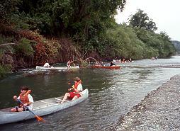 Russian River above Healdsburg CA