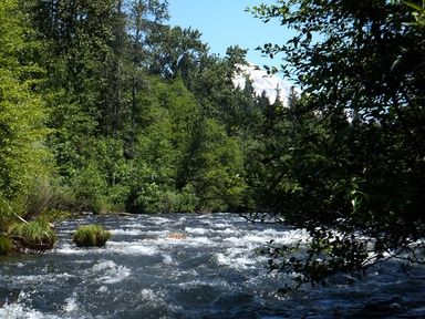 Sacramento River CA