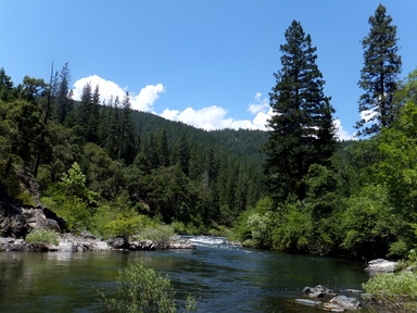 Sacramento River CA