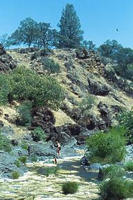 Sacramento River, Redding to Red Bluff CA