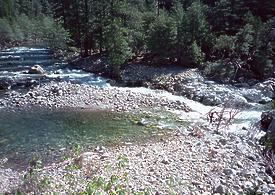 North Fork Salmon River near Sawyers Bar CA