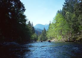 North Fork Salmon River near Sawyers Bar CA