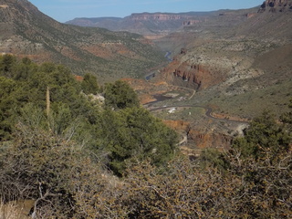 Salt River AZ