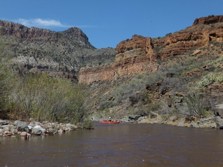 Salt River AZ