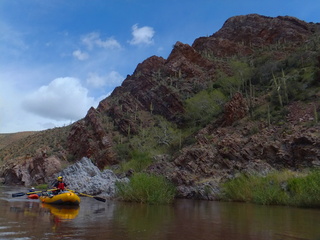 Salt River AZ