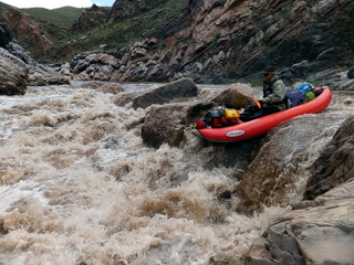 Salt River AZ