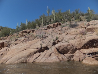 Salt River AZ