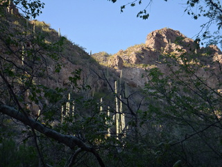 Salt River AZ