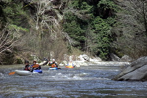 San Lorenzo River near Santa Cruz CA