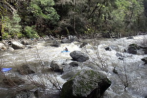 San Lorenzo River near Santa Cruz CA