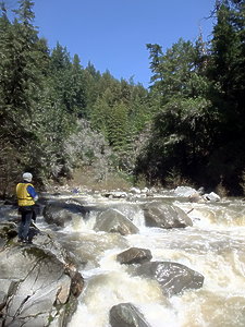 San Lorenzo River near Santa Cruz CA