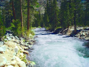 South Fork San Joaqin River near John Muir trail CA