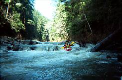 San Lorenzo River near Santa Cruz CA