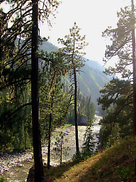 Selway River from Paradise to Race Creek ID