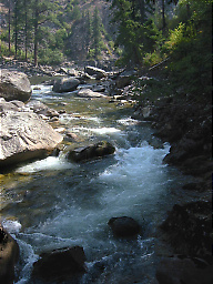 Selway River from Paradise to Race Creek ID