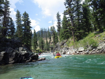 S Payette ID