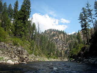 South Fork Salmon River ID