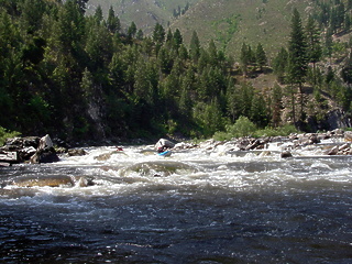 South Fork Salmon River ID