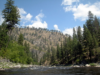 South Fork Salmon River ID