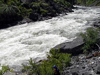 South Fork Salmon River ID