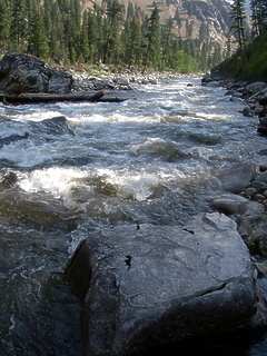 South Fork Salmon River ID