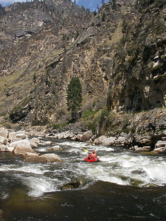 South Fork Salmon River ID