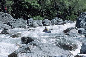 South Fork Trinity below Hyampom CA