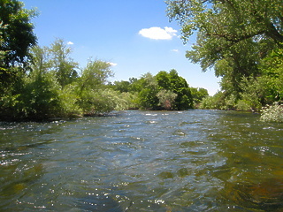 Stanislaus River Knights Ferry to Oakdale CA