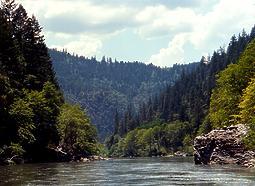 Trinity River above Cedar Flat CA