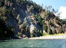 Trinity River above Cedar Flat CA