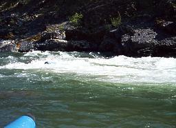 Trinity River above Cedar Flat CA