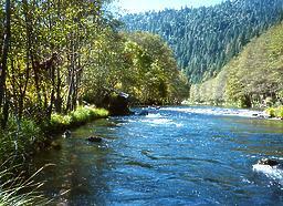 Trinity River below Douglas City