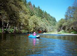 Trinity River below Douglas City