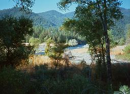 Trinity River below Douglas City