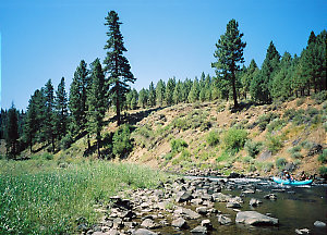 Truckee River from Boca to Floriston CA