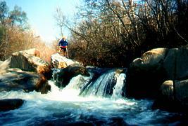 Tule River near Springville CA