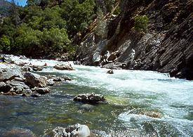 Tuolumne River near Groveland CA