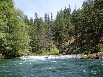 N Fork Umpqua OR