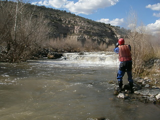 Verde River AZ