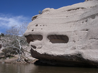 Verde River AZ