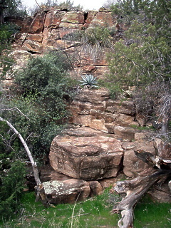 Verde River AZ