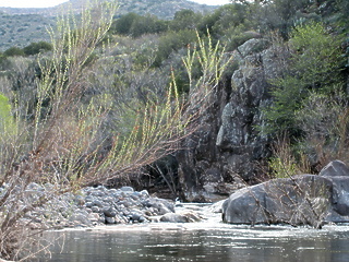 Verde River AZ