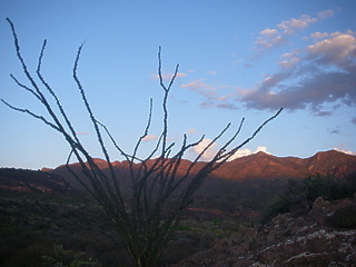 Verde River AZ