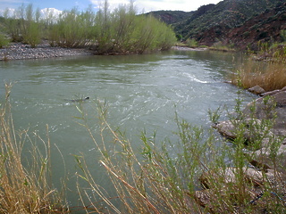 Verde River AZ