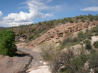 Verde River AZ